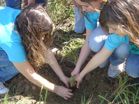 Girls helping our environment by volunteering to plant trees!