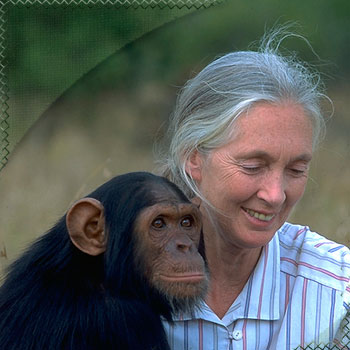 31 Heroines of March 2010: Jane Goodall